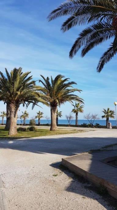 La Brise Marine ~ 300M Mer~Piscine~Clim~Wifi~Calme Argeles-sur-Mer Ngoại thất bức ảnh
